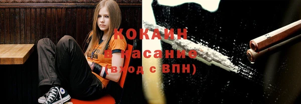 круглые Пересвет