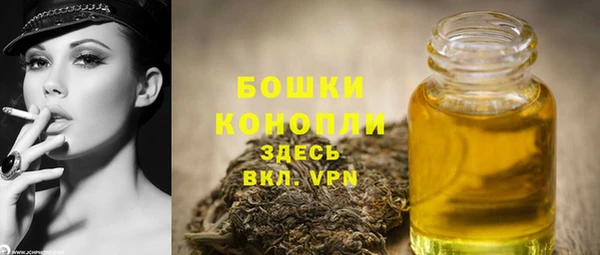 круглые Пересвет