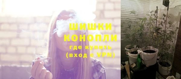 спайс Пестово