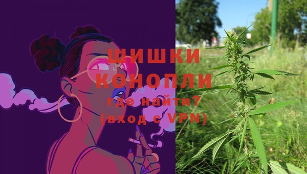 спайс Пестово