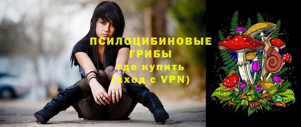 a pvp Переславль-Залесский