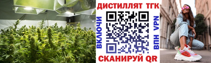 закладка Юрга Дистиллят ТГК концентрат