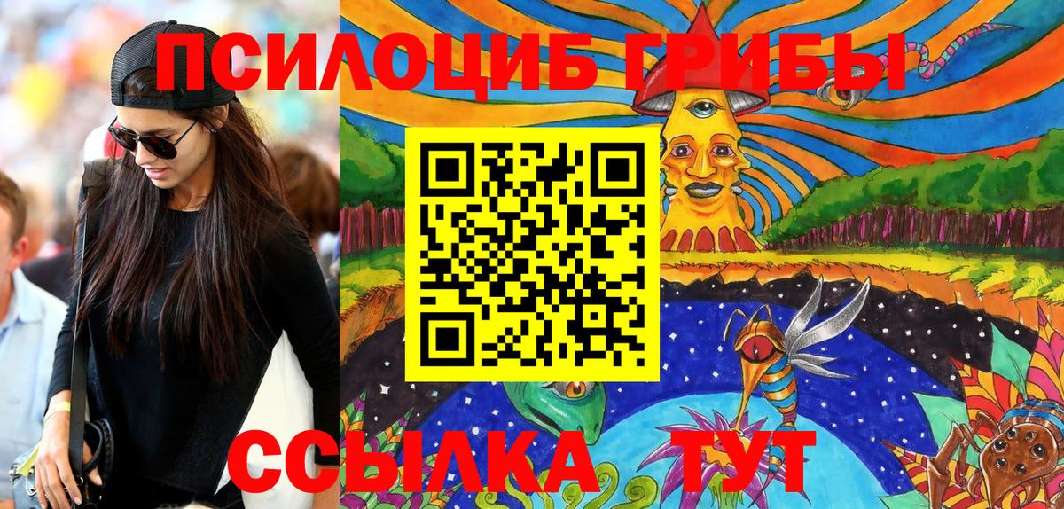 Юрга  Псилоцибиновые грибы Psilocybe  Вход с VPN  Галлюциногенные грибы ЛСД 